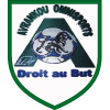 AvrankouOmnisportFC